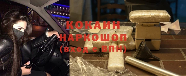 прущие грибы Саяногорск