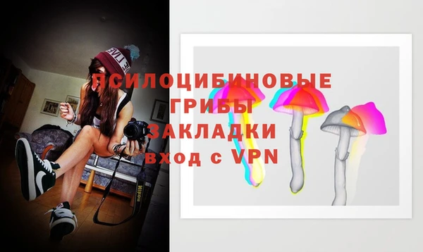 дурь Нефтегорск