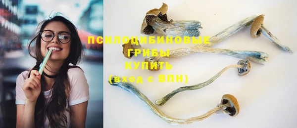 дурь Нефтегорск