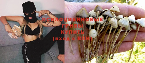 дурь Нефтегорск